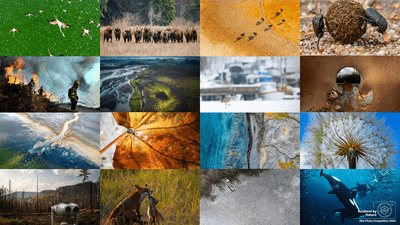Vota ahora para elegir al ganador del Premio del Público 2026 en nuestro concurso de fotografía