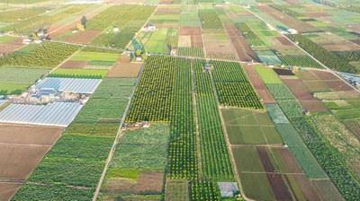 La agricultura resiliente al clima podría mejorar los ingresos de los agricultores