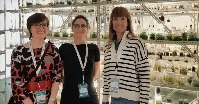 Teruel se une a Rumanía en un nuevo encuentro europeo del proyecto Start in Mountains